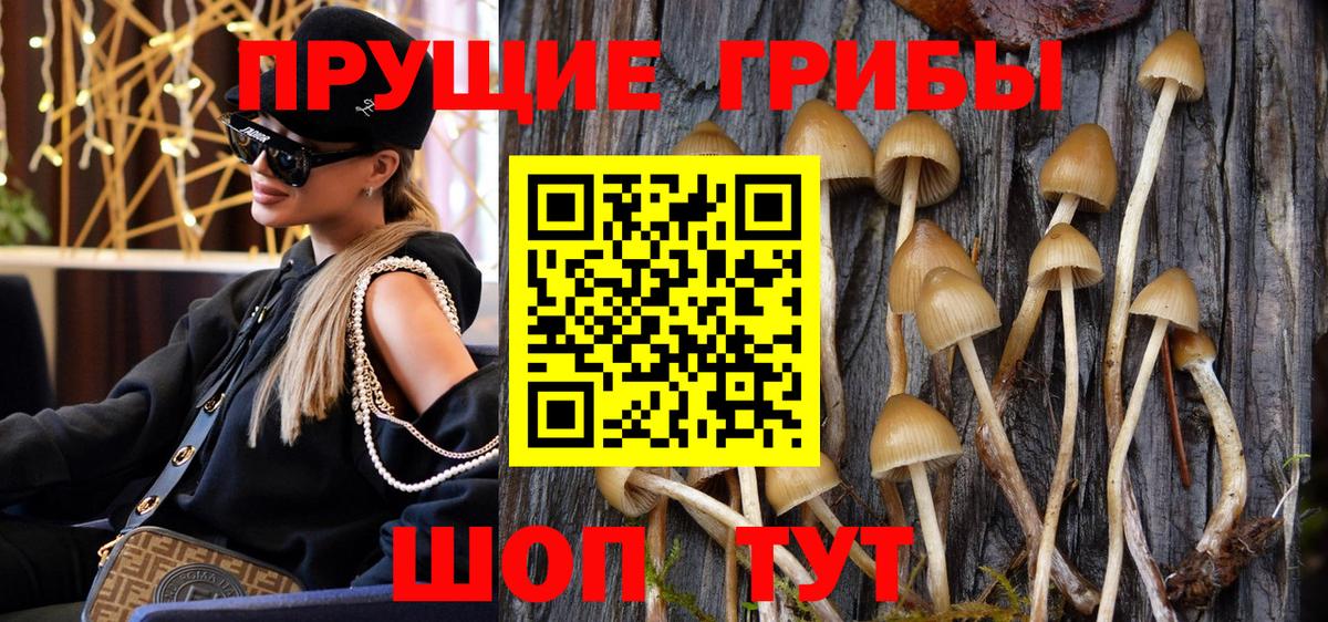 Псилоцибиновые грибы мухоморы Туапсе